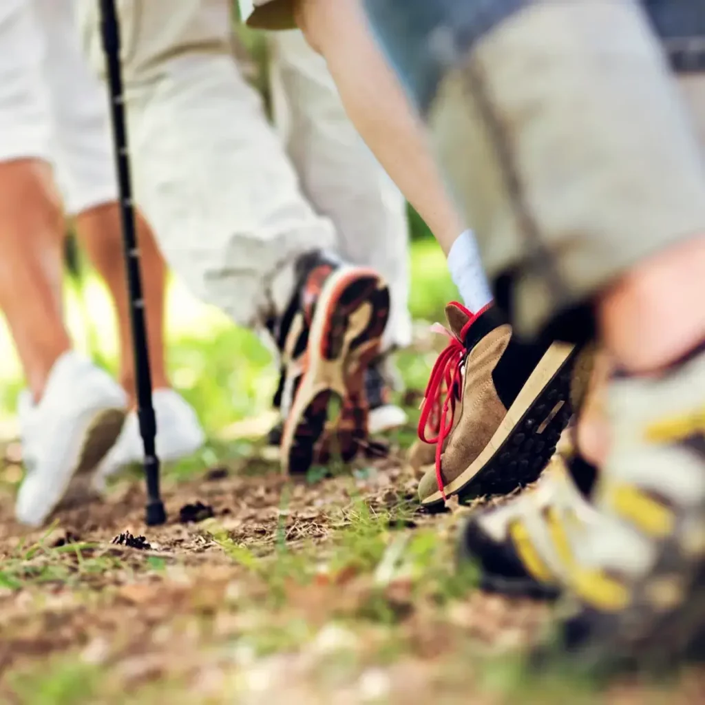 Bienfaits de la marche dans le fôret la Pierre Attelée à Saint-Brévin-les-Pins